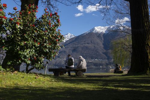 Frühling am See – und doch fehlt vielerorts etwas: Wenn Lebensräume unter Druck geraten, wird die Vielfalt in Wiesen, Wäldern und Gewässern leiser.