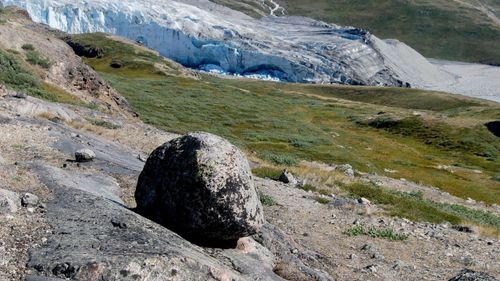 Am Russell-Gletscher in der Nähe von Kangerlussuaq sieht man sehr gut, wie die Landschaft von Grönland durch den Rückzug des Eises ergrünt.