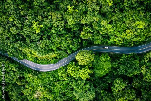 Luftaufnahme einer kurvigen Landstrasse, die sich durch einen dichten, leuchtend grünen Wald schlängelt; ein einzelnes Auto fährt auf der Strasse.