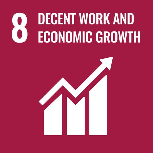 8 - Lavoro dignitoso e crescita economica