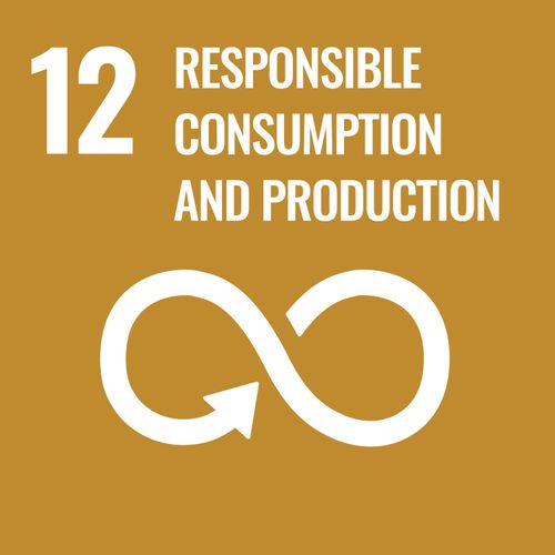 12 - Consumo e produzione responsabili
