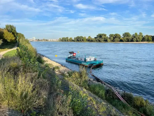 Eine schwimmende Plattform filtert Müll aus dem Rhein bei Köln.