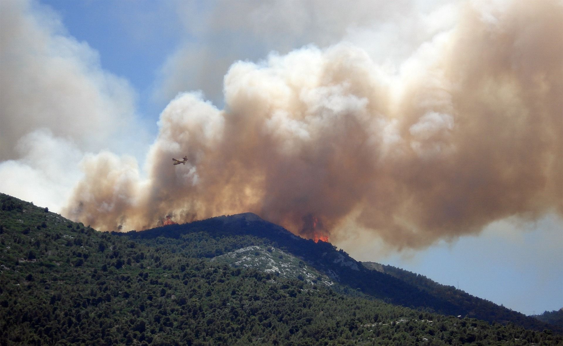 Waldbrand